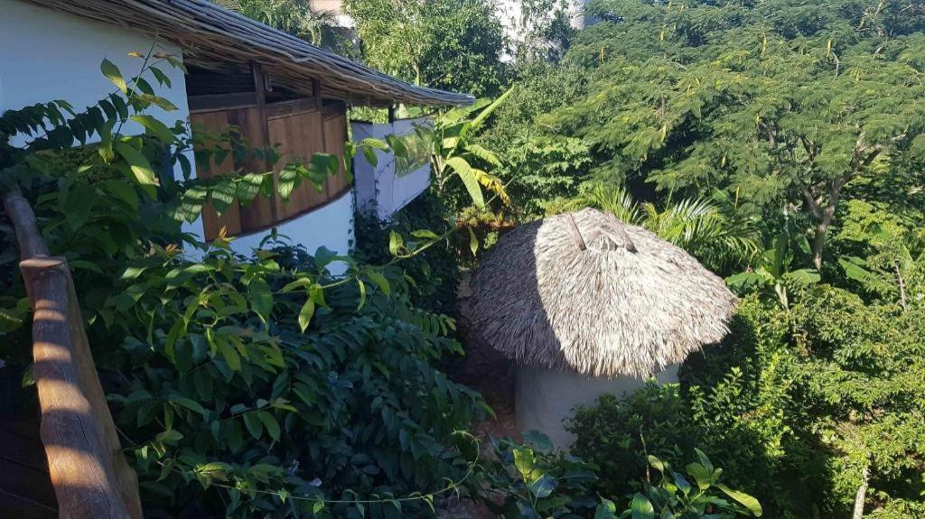 Bamboojam Villa Las Terrenas Ngoại thất bức ảnh